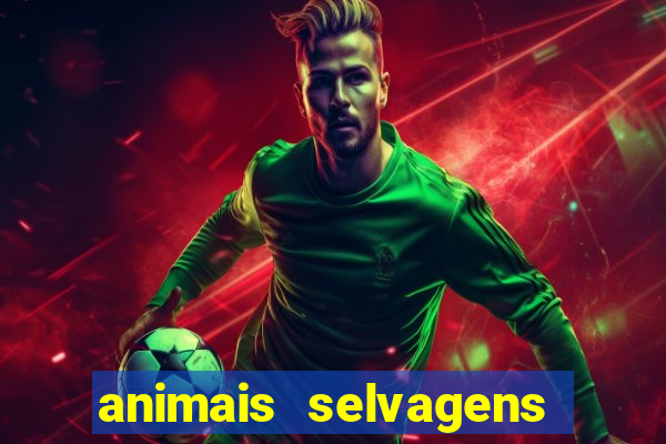 animais selvagens fotos e nomes